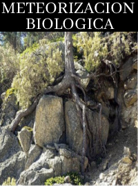 Meteorización biológica: una revisión crítica desde la geomorfología y la climatología